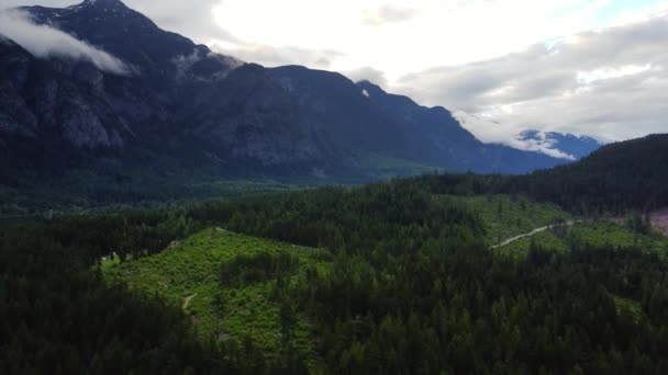 Veduta Aerea Della Verde Foresta Abeti Rossi Una Valle Circondata — Video Stock