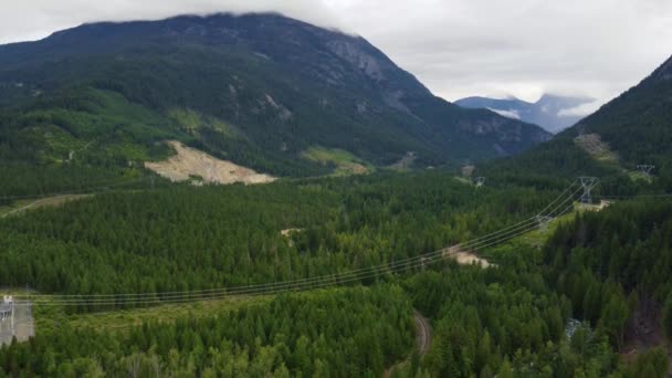 Vista Aérea Vale Verde Floresta Canadá Com Linhas Elétricas Atravessam — Vídeo de Stock