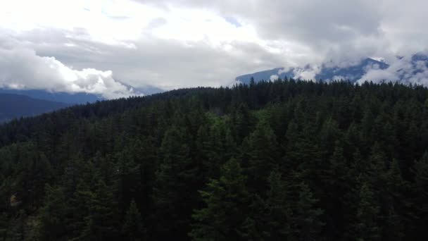 Volare Sopra Foresta Verde Con Montagne Nuvole Dietro Esso — Video Stock