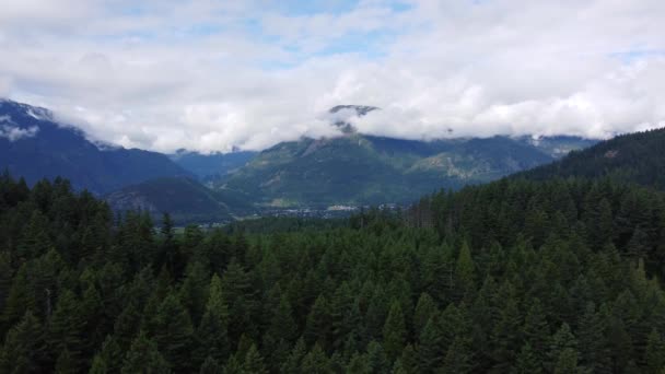 Aerial View Valley British Columbia Green Forest Mountains — Stock Video