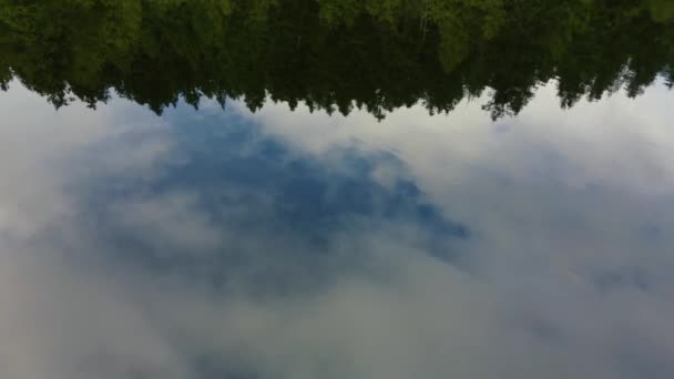Reflejo Nubes Abetos Verdes Lago Una Mañana Nublada — Vídeo de stock