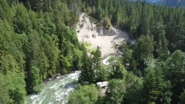 Kanada 'daki vahşi nehrin yeşil çam ormanlarıyla çevrili havadan görüntüsü.