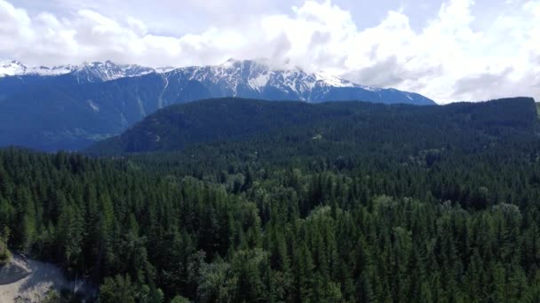 青翠的云杉林和雪山的空中景观 — 图库视频影像