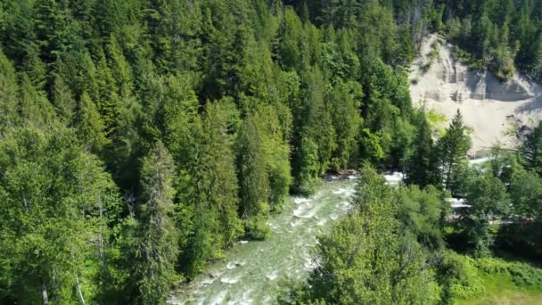 Fly River Rapids Sunny Day Canada — Stock Video