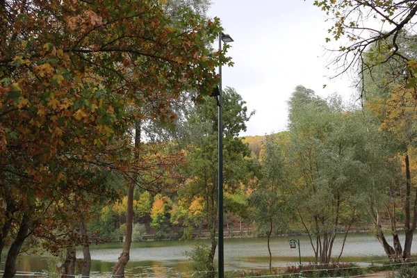 Automne Eau Lac Paysage Rivière Nature Forêt Arbre Automne Reflet — Photo