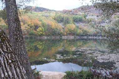 Göl, su, manzara, doğa, gökyüzü, nehir, yansıma, ağaçlar, sonbahar, mavi, ağaç, orman, gölet, yeşil, çimen, yaz, bahar, bulutlar, sonbahar, mevsim, manzara, park, güzellik, açık hava, bulut,