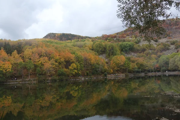 Podzim Příroda Les Zelená Strom Sezóna Žlutá List Park Podzim — Stock fotografie