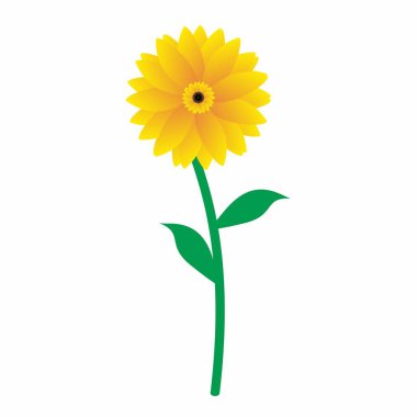 Sun Flower Illustration Vector isolated on white background