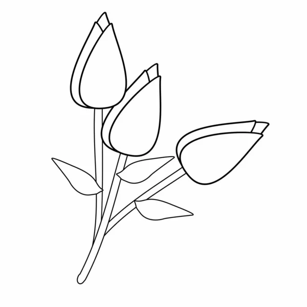 Flower Illustration Vector Illustration Isolated White Background — Stok Vektör
