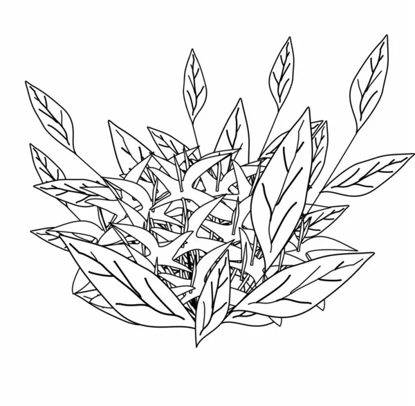 Flower Illustration Vector Illustration Isolated White Background — 스톡 벡터