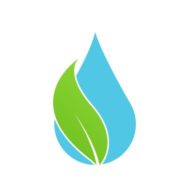 Su damlası yaprak şablonu vektör çizimi tasarımı