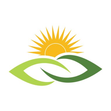 Eko Doğal Güneş Yaprağı Yeşil doğa sembolü Vektör