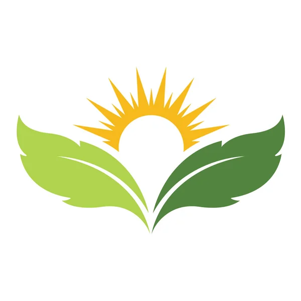 Eco Naturalne Słońce Liść Zielony Charakter Symbol Szablon Wektor Grafika Wektorowa