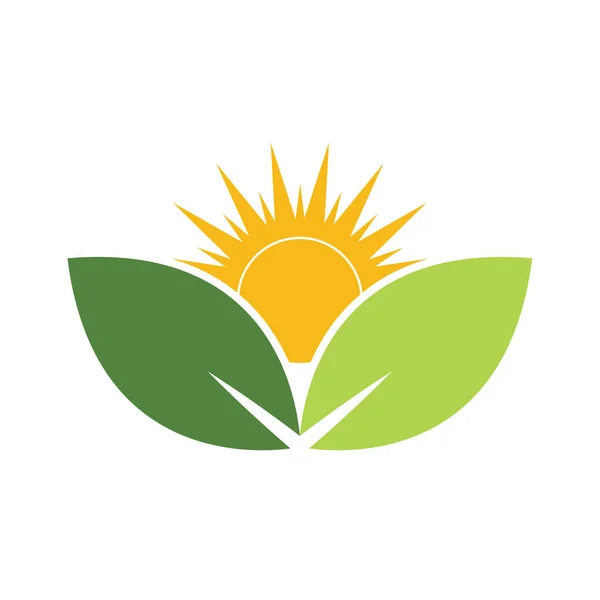 Eco Naturalne Słońce Liść Zielony Charakter Symbol Szablon Wektor Ilustracja Stockowa