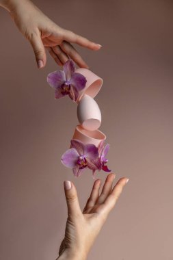 Uçan güzellik mikseri, bir orkide havalanması, genç bir kadının elleri. Moda tarzı yükselme. Rengin tek renkli pembe tonları. Makyaj ve temel için sünger.