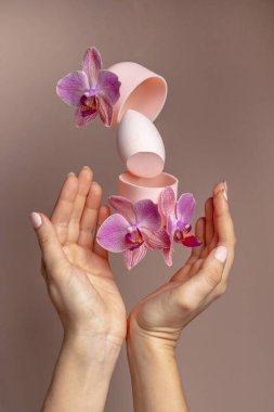 Uçan güzellik mikseri, bir orkide havalanması, genç bir kadının elleri. Moda tarzı yükselme. Rengin tek renkli pembe tonları. Makyaj için sünger ve bulundu