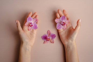 Bej arkaplanda pembe orkide çiçekleri. Tropik çiçekler. Spa salonu konsepti