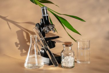 Homeopati alternatif bir ilaçtır. Homeopati çalışmak için mikroskop ve mataralar. Yeşil bambu yaprağı. Homeo topları oluşturma laboratuvarı.