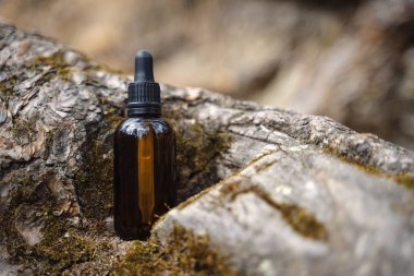 Ormanda yüz için serum. Cilt bakımı sağlıklı cilt için rutin bir adım. Sağlıklı cilt için esans. Kırışıklık giderici. Hyaluronik asit, cilt hidrasyonu, şişe damlaları. Güzellik ve kozmetik konsepti. 