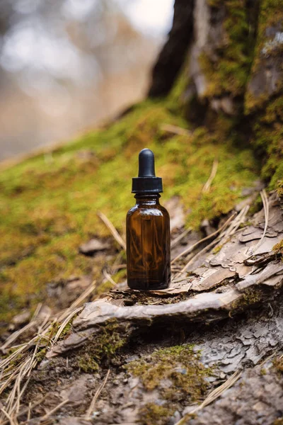 Ormanda yüz için serum. Cilt bakımı sağlıklı cilt için rutin bir adım. Sağlıklı cilt için esans. Kırışıklık giderici. Hyaluronik asit, cilt hidrasyonu, şişe damlaları. Güzellik ve kozmetik konsepti. 