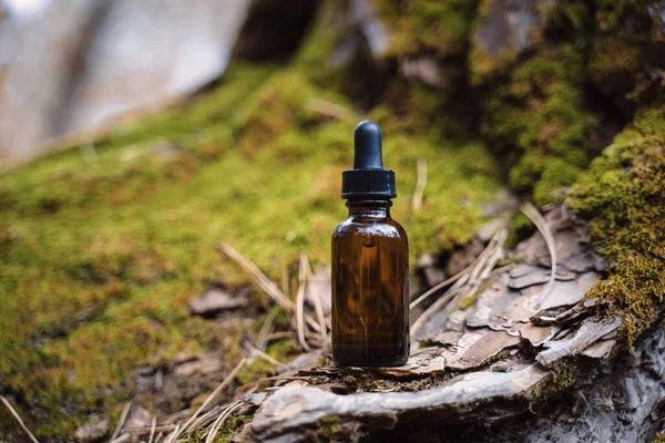 Ormanda yüz için serum. Cilt bakımı sağlıklı cilt için rutin bir adım. Sağlıklı cilt için esans. Kırışıklık giderici. Hyaluronik asit, cilt hidrasyonu, şişe damlaları. Güzellik ve kozmetik konsepti. 