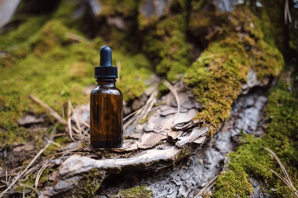 Ormanda yüz için serum. Cilt bakımı sağlıklı cilt için rutin bir adım. Sağlıklı cilt için esans. Kırışıklık giderici. Hyaluronik asit, cilt hidrasyonu, şişe damlaları. Güzellik ve kozmetik konsepti. 