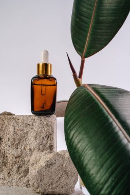 Esans şişesi pedistalde. Beyaz arka planda losyon. Cilt sağlığı için kozmetik. Aromo Petrol. C vitamini serumları, Unisex kozmetik ürünleri. Model. 