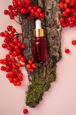 Doğal kozmetik konsepti, kırmızı cam şişede gerekli yağ. Kozmetik kaplıca tıbbi cilt bakımı, serum şişesi, tonik ve emülsiyon. Düz yat, boşluğu kopyala.