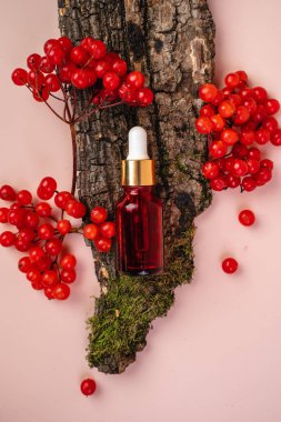 Doğal kozmetik konsepti, kırmızı cam şişede gerekli yağ. Kozmetik kaplıca tıbbi cilt bakımı, serum şişesi, tonik ve emülsiyon. Düz yat, boşluğu kopyala.