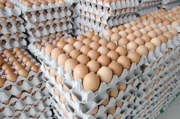 Яйца в упаковке серой бумаги — стоковое фото