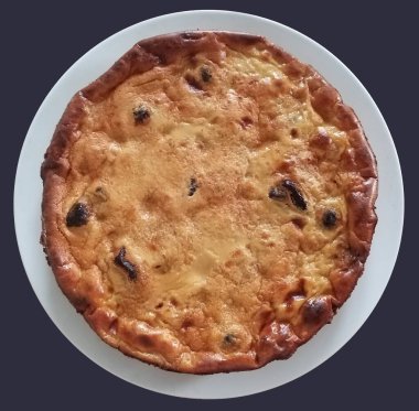 Siyah arka planda izole edilmiş beyaz plakalı bir Breton 'un fotoğrafı