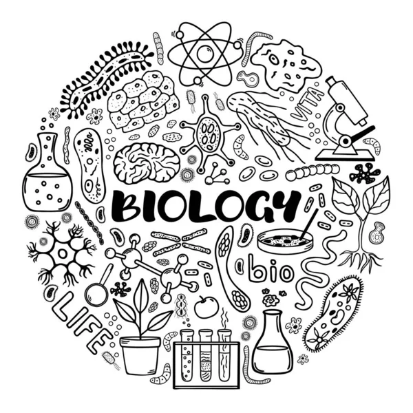 Biologie Concept Rond Vecteur Éléments Dessinés Main Dans Style Doodle — Image vectorielle