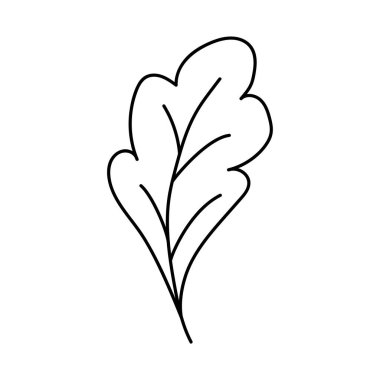 Meşe yaprağı. Doodle vektör çizimi. Beyaz arkaplanda izole edilmiş tek elle çizilmiş element. Tebrik kartları, posterler, çıkartmalar ve mevsimlik tasarımlar için.