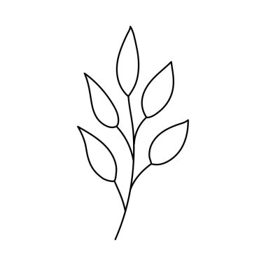 Yapraklı dal. Doodle vektör çizimi. El çizimi tek element beyaz arkaplanda izole edildi. Tebrik kartları, posterler, çıkartmalar ve mevsimlik tasarımlar için.