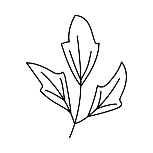 Zweig Mit Blättern Doodle Vektor Illustration Handgezeichnetes Einzelnes Element Isoliert — Stockvektor