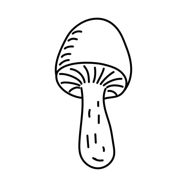 Champignon Illustration Vectorielle Doodle Élément Unique Dessiné Main Isolé Sur — Image vectorielle
