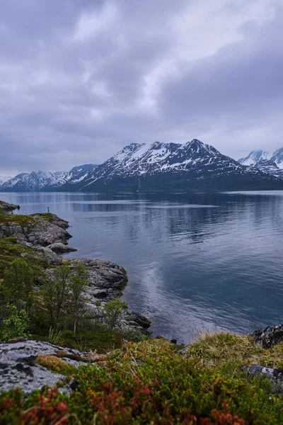 Bulutlu bir günde Norveç fiyordu