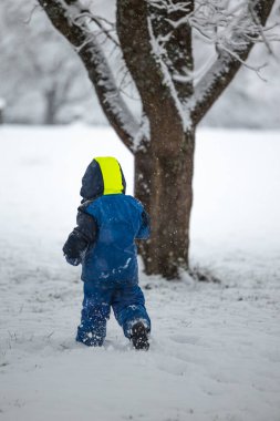 Mavi kışlık ceketli mutlu çocuk ağaçlar arasında karda oynamaktan hoşlanıyor. Kar taneleri düşüyor..