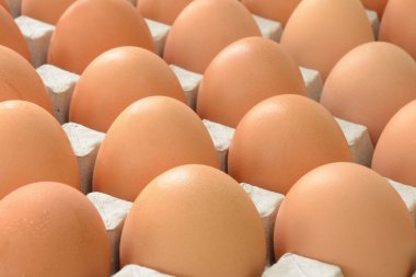 tepsi içinde yumurta