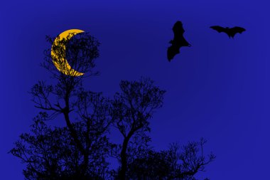 Yarasalar siluetleri ve yarım ay zaman altında arka plan kullanım için güzel şube