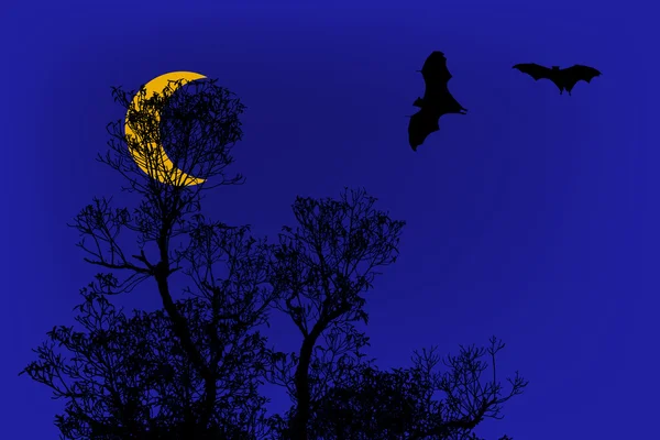 Fledermaussilhouetten und schöner Ast zur Hintergrundnutzung bei Halbmond — Stockfoto