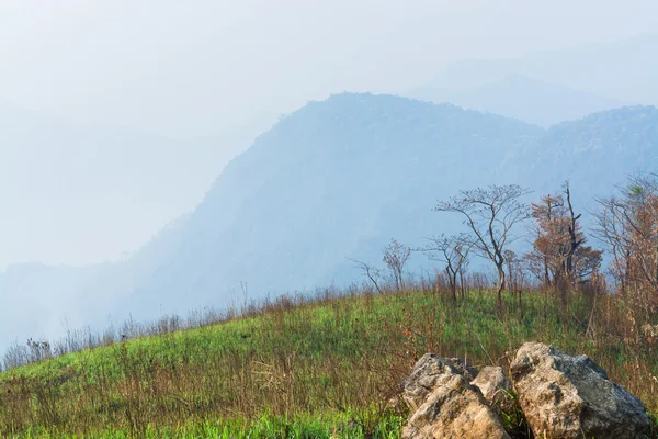 Grassland savanna in Thailand