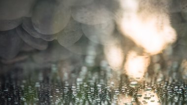 Çiğ açılan arka plan arkasında taşlı çimenlerin üzerinde