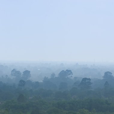 Orman katmanı arka plan olarak