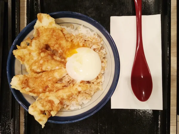 Τηγανιτό κοτόπουλο και topping πηκτά αυγά για το ρύζι ως φόντο — Φωτογραφία Αρχείου