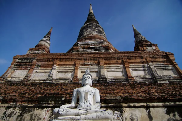 Βουδιστικό Κράτος Μπροστά Από Παγόδα Στο Wat Yai Chai Mongkhon — Φωτογραφία Αρχείου