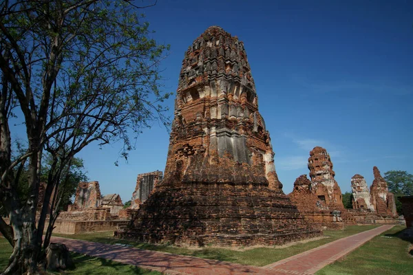 Wat Mahathat Ayuttaya Στο Ιστορικό Πάρκο Ayutthaya Καλύπτει Ερείπια Της — Φωτογραφία Αρχείου