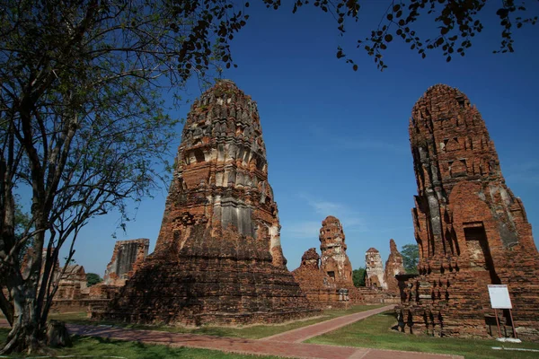 Wat Mahathat Ayuttaya Στο Ιστορικό Πάρκο Ayutthaya Καλύπτει Ερείπια Της — Φωτογραφία Αρχείου