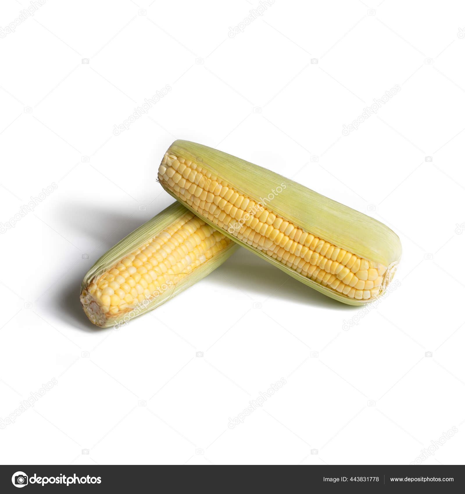 Jagung Segar Manis Terisolasi Pada Latar Belakang Putih Stok Foto C Art8mb 443831778