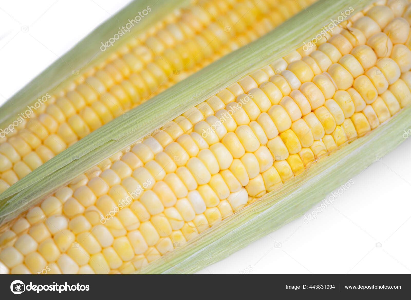 Jagung Segar Manis Terisolasi Pada Latar Belakang Putih Stok Foto C Art8mb 443831994